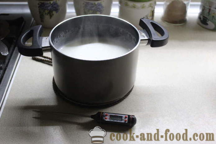 Домаћи јогурт од млека да ферментира - како да јогурт код куће, корак по корак рецептури фотографије