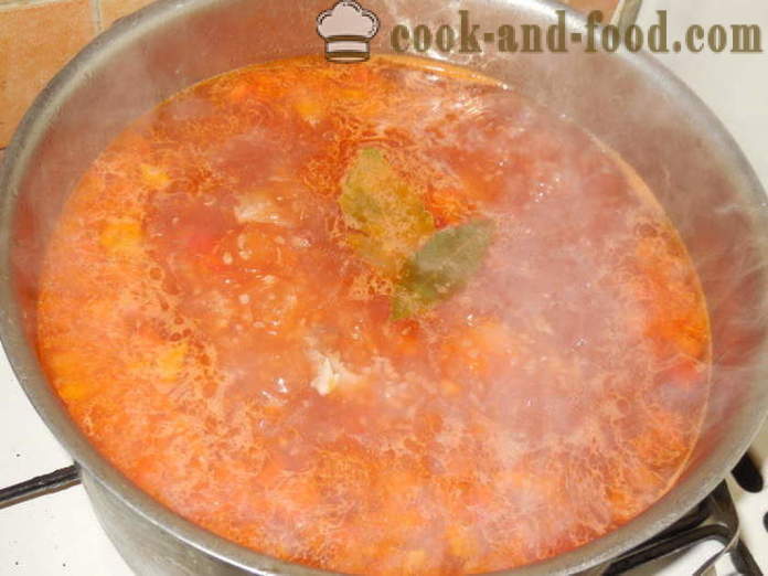 Дијететски супа чорба ћуретина са поврћем - како да кувају укусно туркеи супу, корак по корак рецептури фотографије