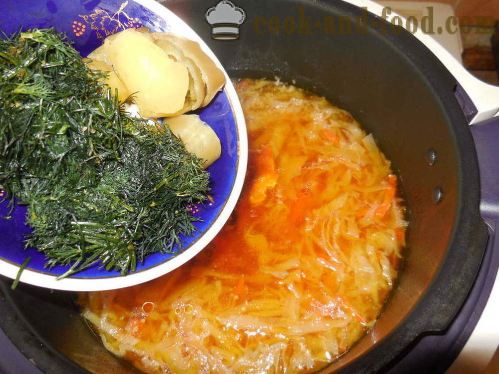 Супа од поврћа са сардине у сосу од парадајза у мултиварка - како да кува супу од поврћа са инћуна, корак по корак рецептури фотографије