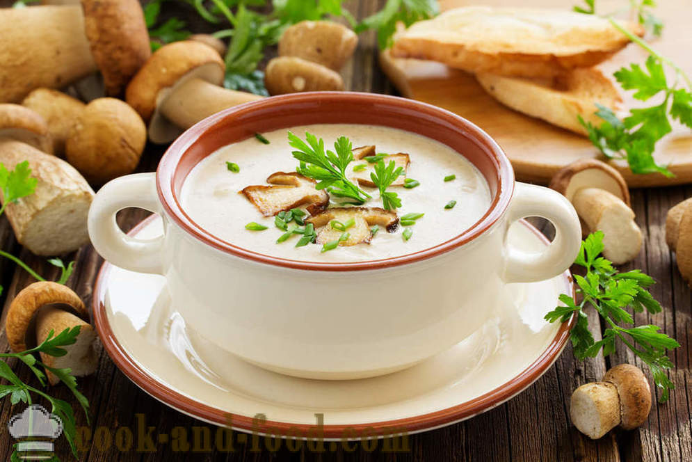 Бела чорба од печурака: два рецепти укусних јела