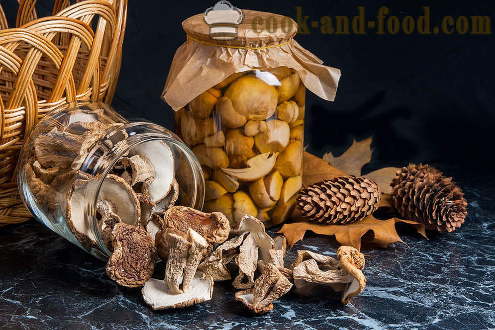 Рецепти сувих печурака - видео рецепт код куће