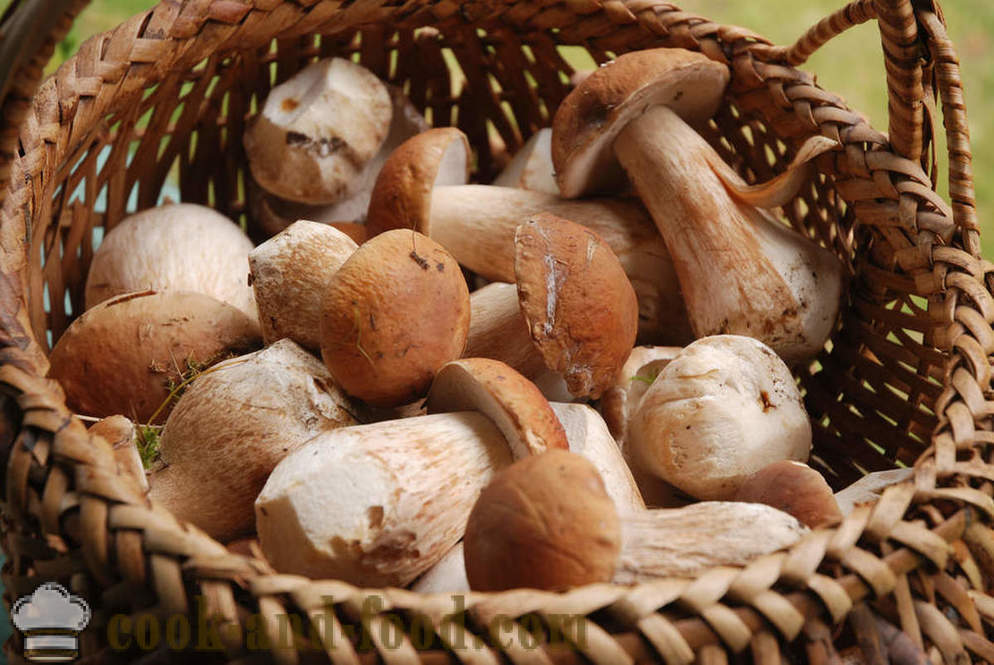 Сезона печурке: 5 рецепата из часописа Џејми Оливер је - видео рецепти код куће